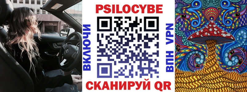 Галлюциногенные грибы Psilocybine cubensis  Павловская 